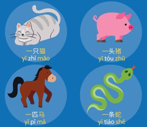 Chinese Grammar - Measure Words for Animals